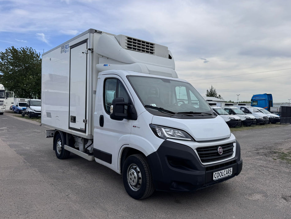 Fiat Ducato 2.3 MultiJet / Chłodnia / Thermo King V-500 MAX (448)