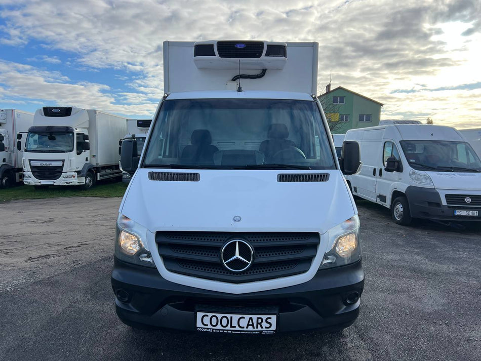 Mercedes-Benz Sprinter 313 CDI Chłodnia Carrier Pulsor 400Mt  (383)